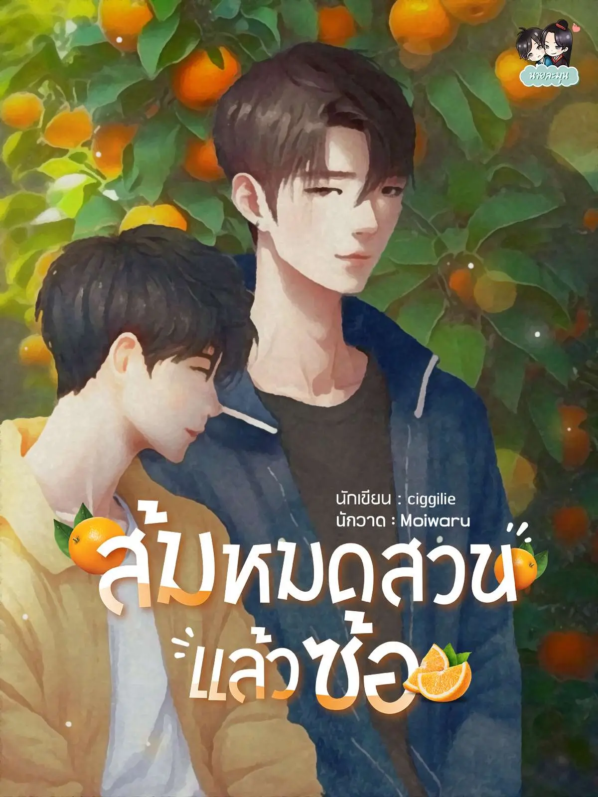 ปกนิยาย ส้มหมดสวนแล้วซ้อ