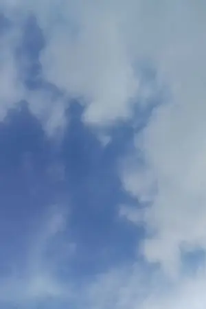 ปกนิยาย [BL] คำสัญญานิรันดร์