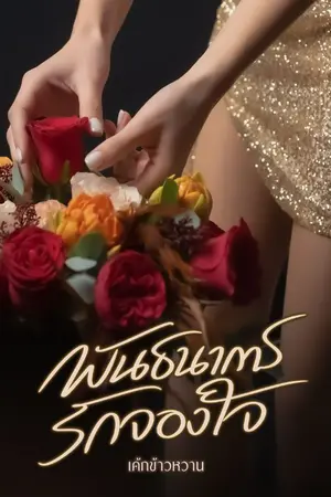 ปกนิยาย