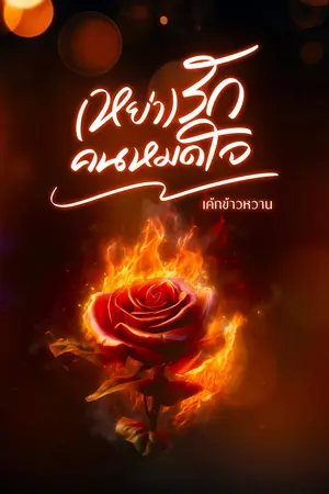 ปกนิยาย