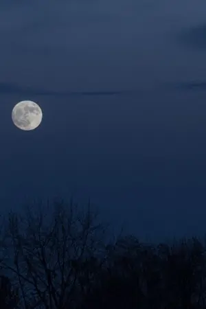 ปกนิยาย เ พ รี ย ก รั ก