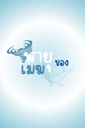 ปกนิยาย พายุของเมฆวาฬ