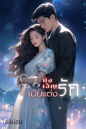 ปกนิยาย บังเอิญรัก เมียแต่ง