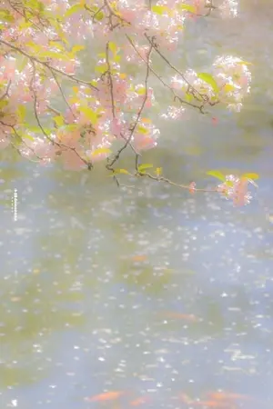 ปกนิยาย ม่านลู่หลิวพราววิวาห์