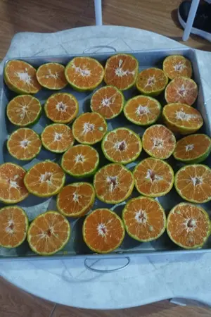 ปกนิยาย ธรณีนี่นี้ ฉันครอง