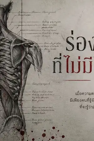 ปกนิยาย ร่องรอยที่ไม่มีใครเห็น