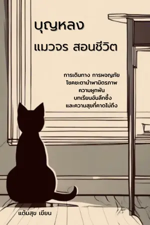 ปกนิยาย บุญหลง แมวจรสอนชีวิต