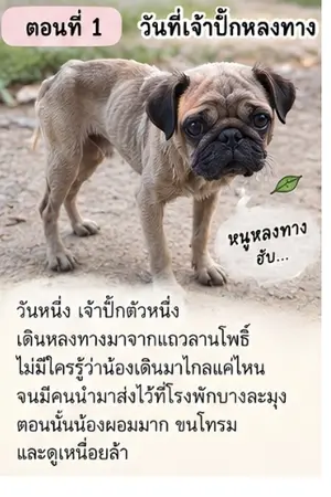 ปกนิยาย นู๋ปั๊กหน้าย่น