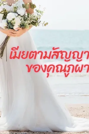 ปกนิยาย เมียตามสัญญา ของคุณภูผา