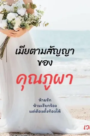 ปกอีบุ๊ก