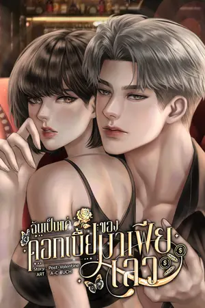ปกนิยาย ฉันเป็นแค่ดอกเบี้ยของมาเฟียเลว