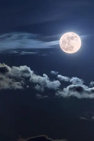 ปกนิยาย จันทราในเงามืดแห่งกษัตริย์ควินซี : bleach