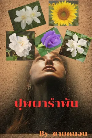 ปกนิยาย ปพผารำพัน