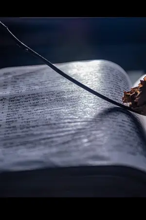 ปกนิยาย บทกวีสุดท้ายของมิติห้วงเวลา