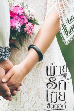 ปกนิยาย พ่ายรักเมียขัดดอก