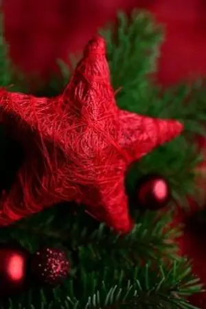 ปกนิยาย [Ace of Diamond] |Parallel World