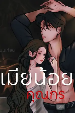 ปกนิยาย เมียน้อยของคุณกร