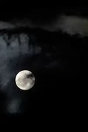 ปกนิยาย วังต้องห้าม