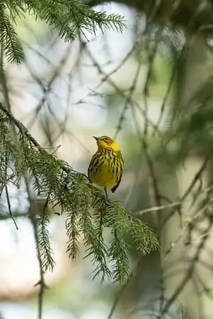 ปกนิยาย เรียงร้อยเรียงพันเรื่องราว