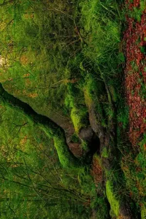 ปกนิยาย The last Dragon ทายาทมังกรคนสุดท้าย