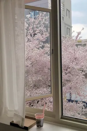 ปกนิยาย Stop it!