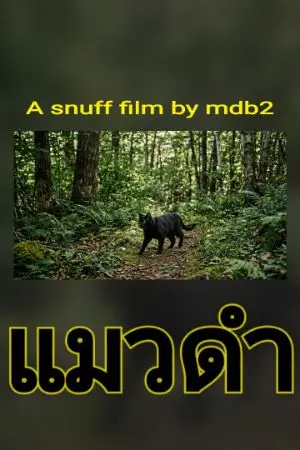 ปกนิยาย เธอเห็นวิญญาณร้าย