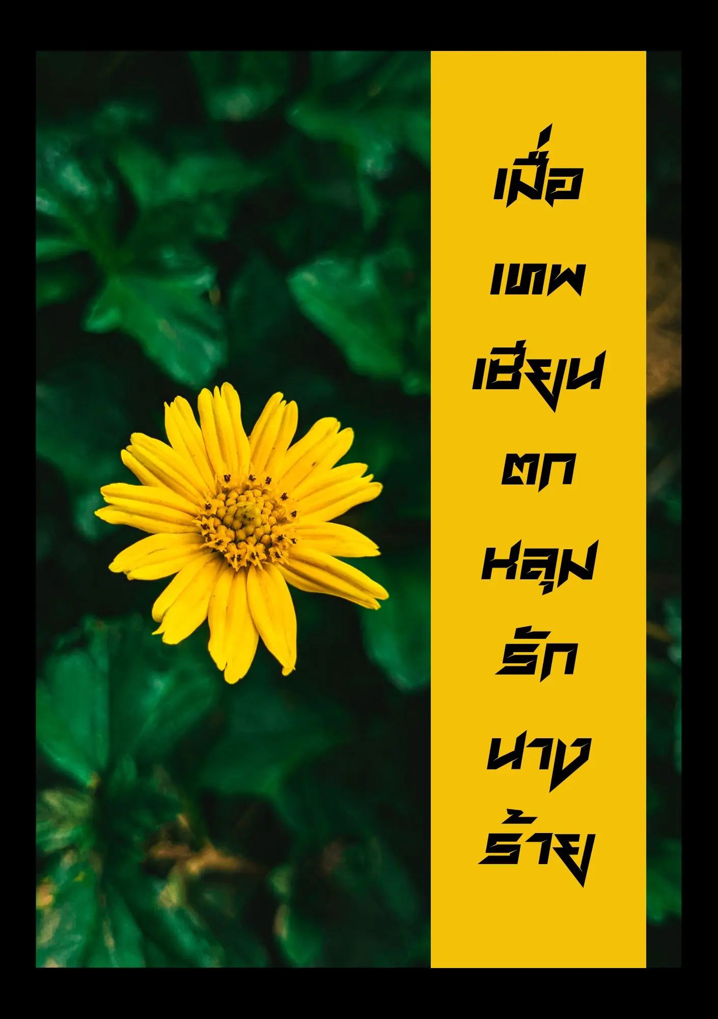 ปกนิยาย เมื่อเทพเซียนตกหลุมรักนางร้าย