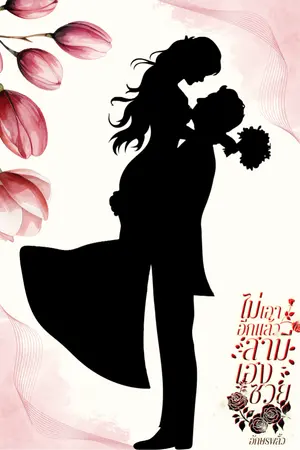 ปกนิยาย ไม่เอาอีกแล้วสามีเฮงซวย