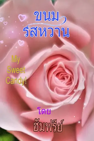 ปกนิยาย