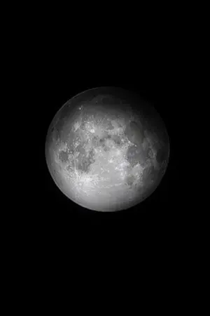 ปกนิยาย สองโลกหนึ่งฟ้า สองด้านหนึ่งเหรียญ