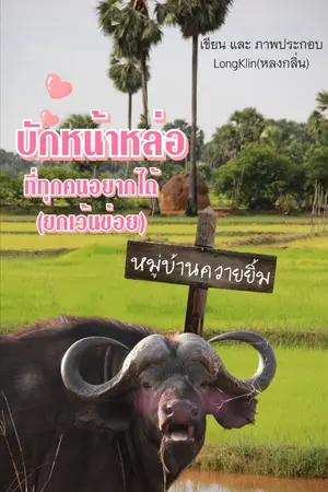 ปกนิยาย บักหน้าหล่อที่ทุกคนอยากได้(ยกเว้นข่อย)[มี E-book)