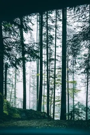 ปกนิยาย 7 วันก่อนฉันกลายเป็นซอมบี้