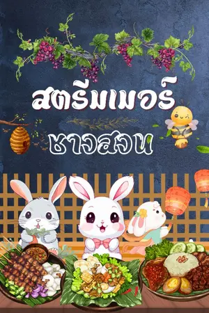 ปกนิยาย สตรีมเมอร์ชาวสวน