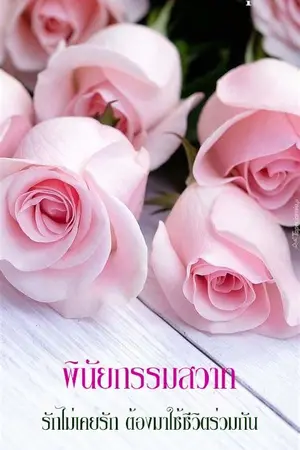 ปกนิยาย พินัยกรรมสวาท