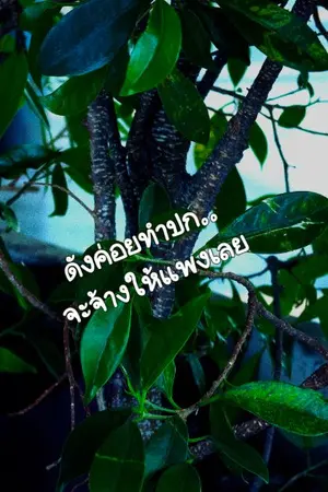 ปกนิยาย ​"The Dead Order รับจบศพสุดท้าย"