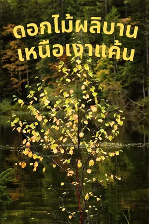 ปกนิยาย ดอกไม้ผลิบานเหนือเงาแค้น