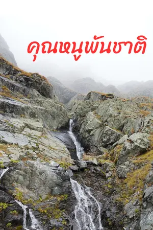 ปกนิยาย คุณหนูพันชาติ