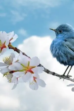 ปกนิยาย มาเฟียจุดประชุม