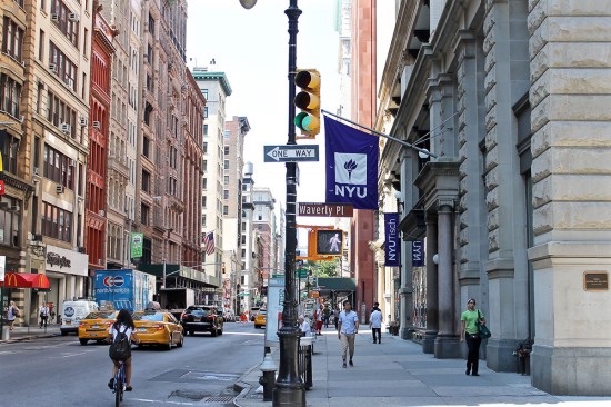 Credit: New York University's website