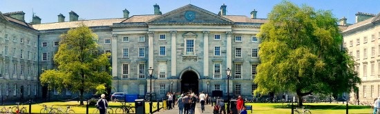 Credit: www.tcd.ie