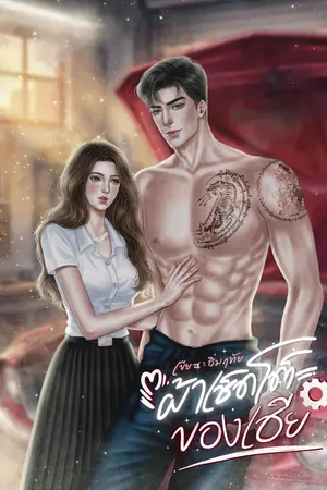 ปกนิยาย ผ้าเช็ดโต๊ะของเฮีย