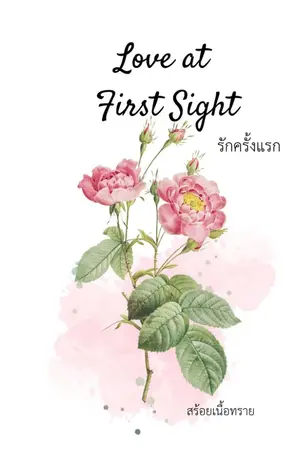 ปกนิยาย love at first sight รักครั้งแรก