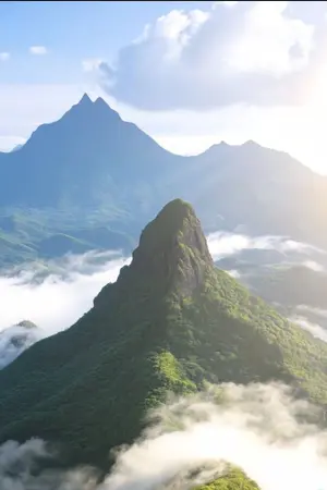 ปกนิยาย ป่าหมื่นวิญญาณ