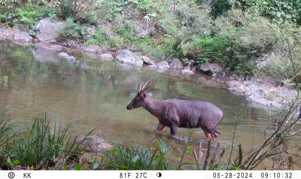ภาพจาก กรมอุทยานแห่งชาติ สัตว์ป่า และพันธุ์พืช