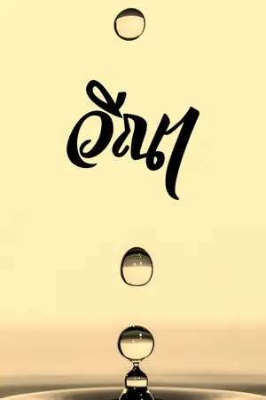 ปกนิยาย วีณา