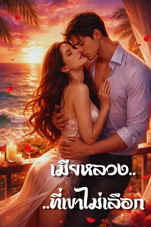 ปกนิยาย เมียหลวง…ที่เขาไม่เลือก