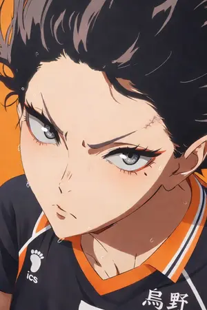 ปกนิยาย Fic Haikyuu!! : โทแกบีแห่งคาราซึโนะ