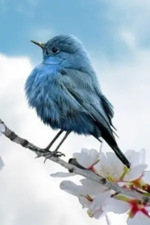 ปกนิยาย ยื้อด้วยรัก