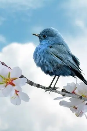 ปกนิยาย รักเธอจัง ห่วงเธอจริง