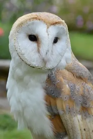 ปกนิยาย แด่ฉันและเธอผู้น่ารังเกียจ